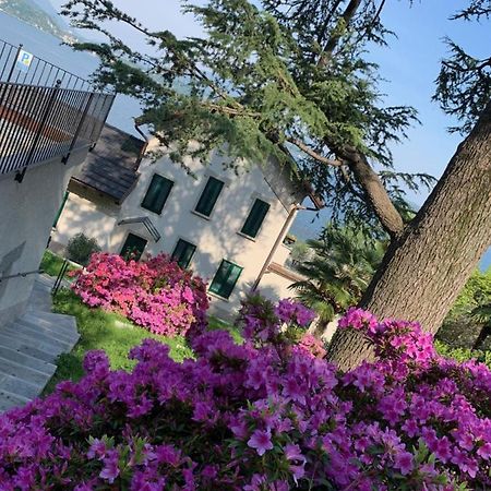 Giardini MAGNOLIA Apartment Belgirate Exterior foto