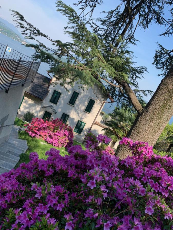 Giardini MAGNOLIA Apartment Belgirate Exterior foto