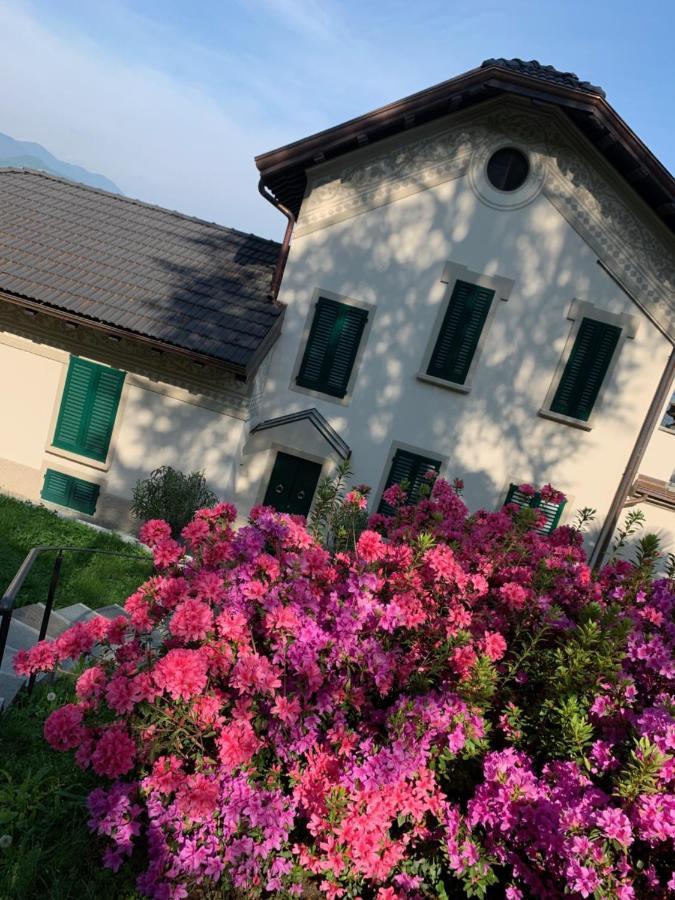 Giardini MAGNOLIA Apartment Belgirate Exterior foto