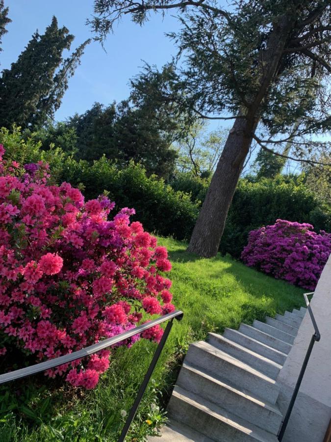 Giardini MAGNOLIA Apartment Belgirate Exterior foto
