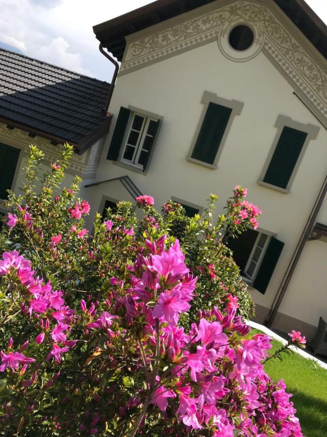 Giardini MAGNOLIA Apartment Belgirate Exterior foto